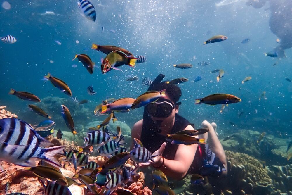 8 Best Snorkeling Spots in Khasab