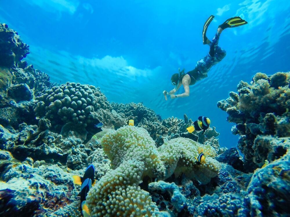 Tips for Snorkeling in Musandam